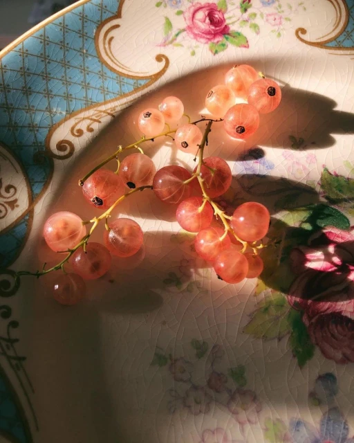 Close-up of a sprig of pinkish-red gooseberries on a floral-patterned china plate, highlighting the fruit's texture and color.