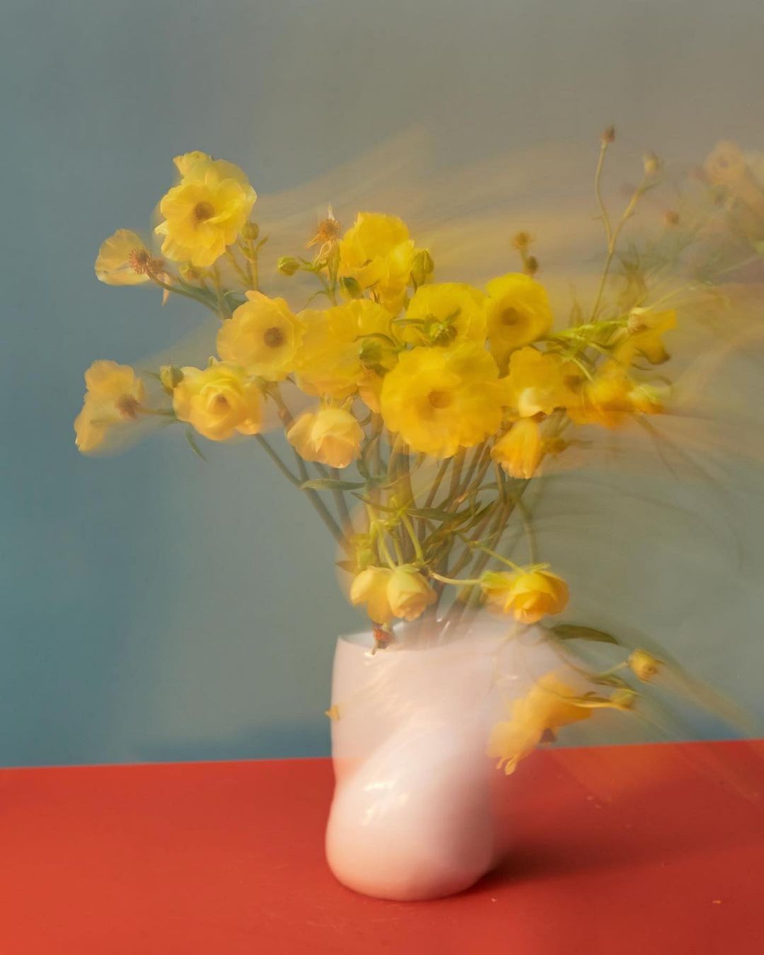 A bouquet of vibrant yellow flowers, possibly ranunculus, in a modern white vase against a dual-tone teal and red backdrop, soft focus.