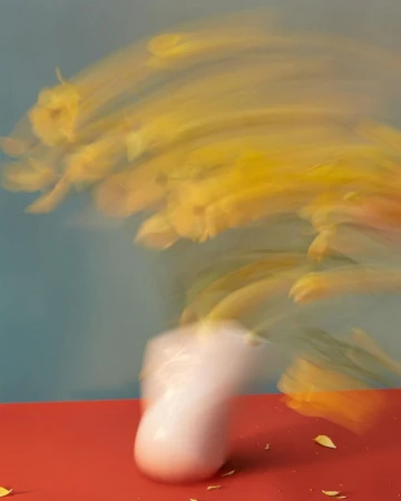 Motion blur photograph of yellow flowers in a white vase on a red surface against a grey background by Doan Ly