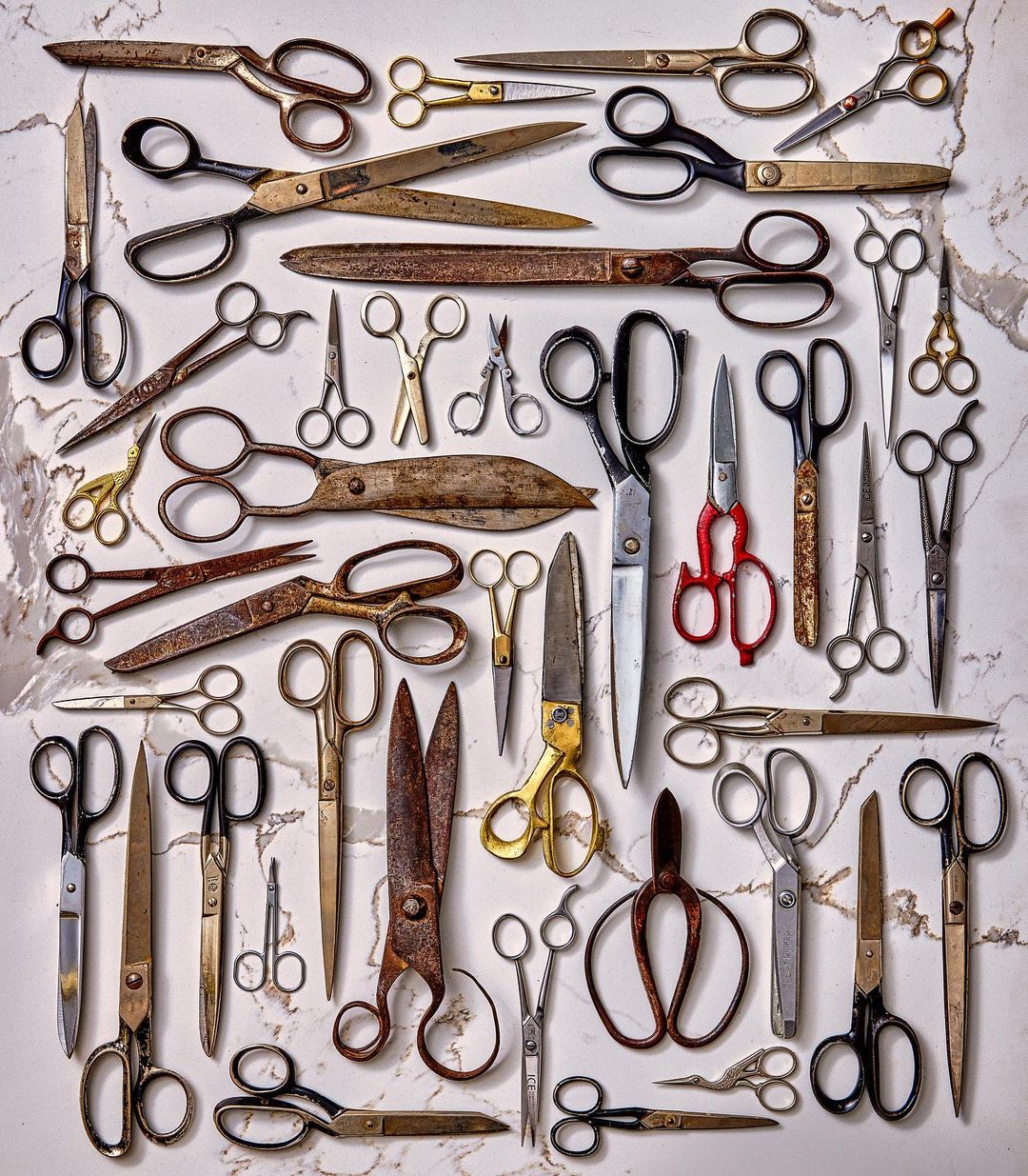 Overhead shot features antique metal scissors artfully arranged on a textured marble surface, showcasing varied designs, sizes, and patinas.