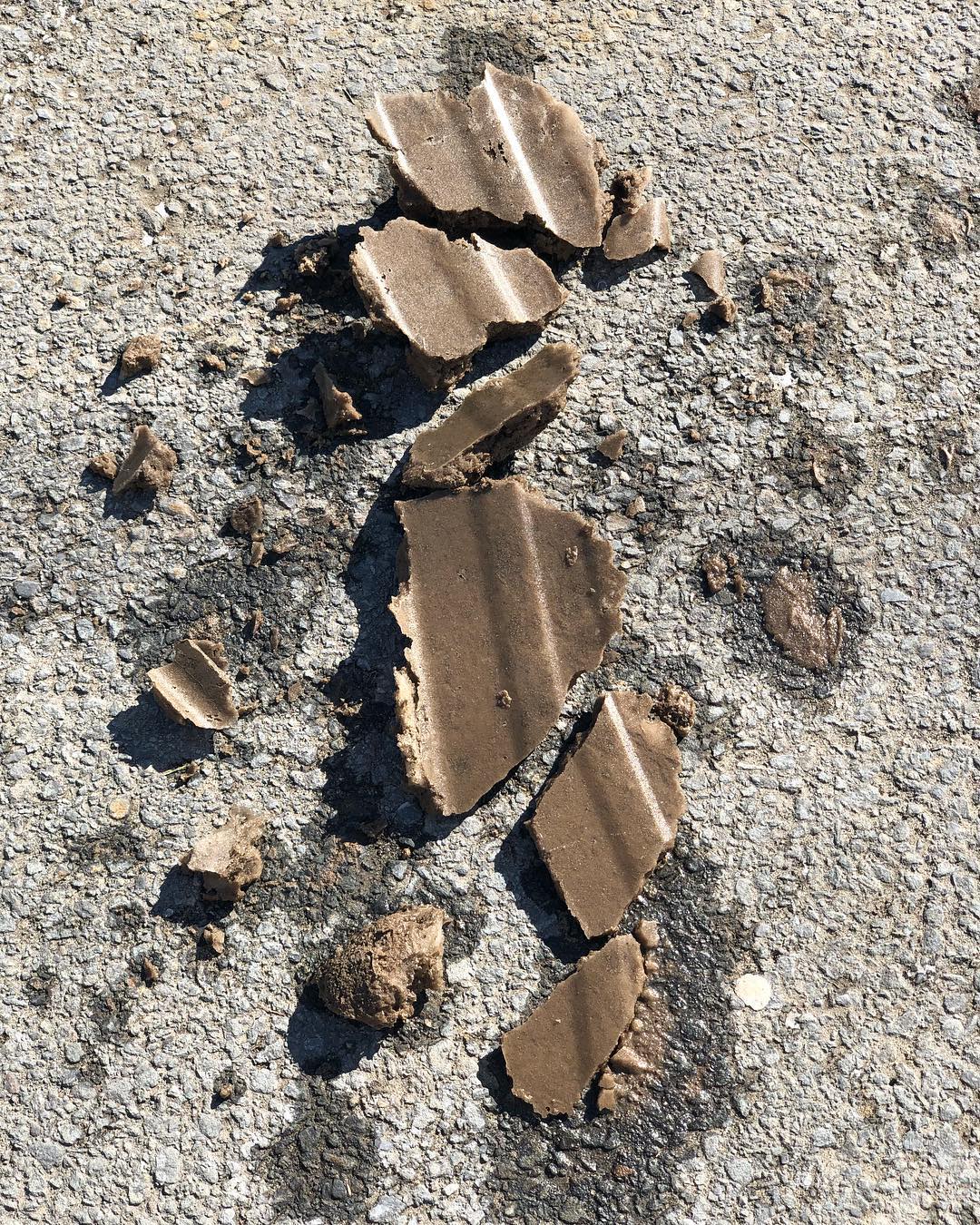 Broken pieces of a brown cardboard box scattered on an asphalt surface, highlighted by natural light in an outdoor setting.