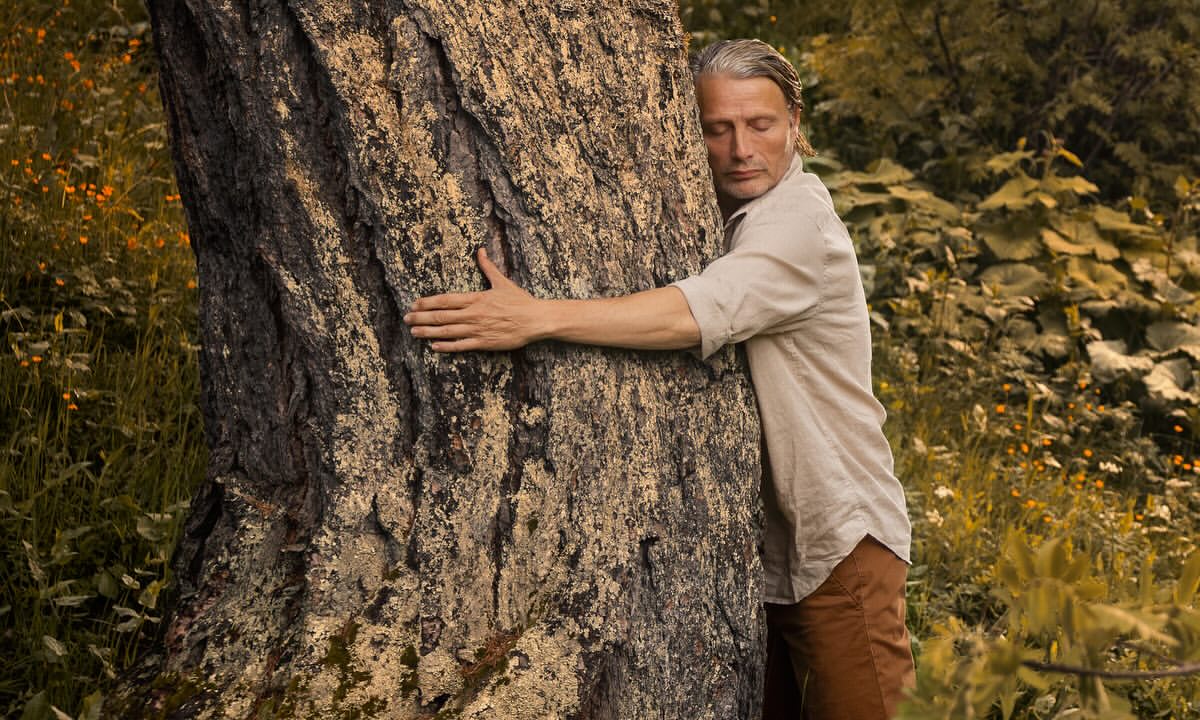 Adult male hugging a large tree with rough bark in a field of wildflowers with green foliage, wearing a light shirt and brown pants.