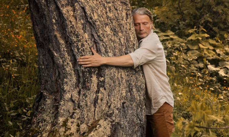 Adult male hugging a large tree with rough bark in a field of wildflowers with green foliage, wearing a light shirt and brown pants.