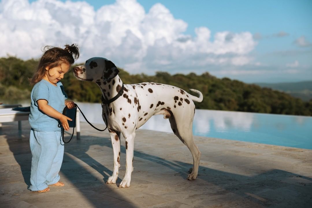 Child and Dalmatian dog interact on patio overlooking a scenic landscape and infinite pool on a sunny day, clear sky with white clouds.
