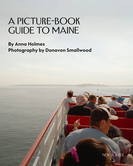Book cover features a photograph of people on a ferry overlooking the ocean under a hazy sky, with the title 'A Picture-Book Guide to Maine'.