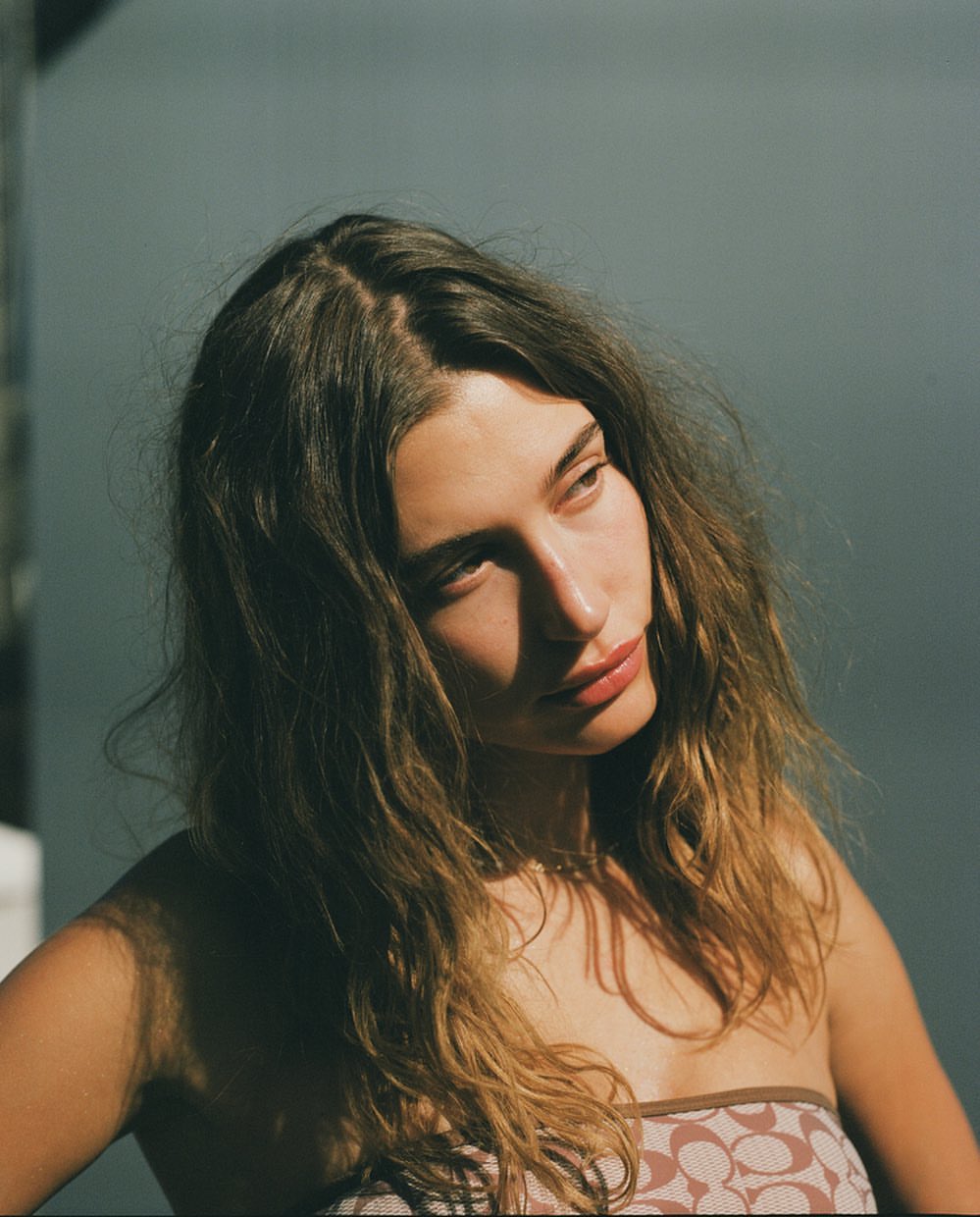 Portrait of a brunette woman looking off camera to the right, wearing a brown strapless top in soft diffused lighting.