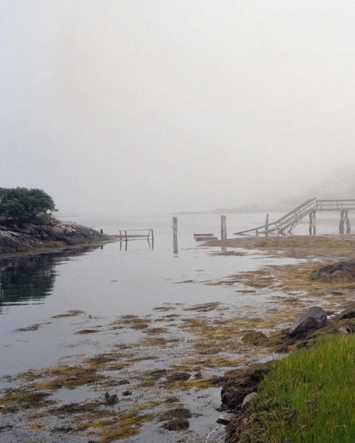 Overcast landscape featuring calm water, a rocky shoreline with sparse vegetation, and the dilapidated remains of a wooden pier.