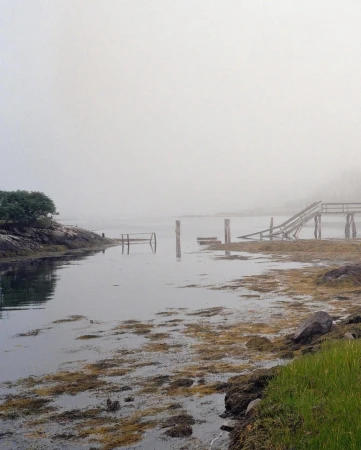 Overcast landscape featuring calm water, a rocky shoreline with sparse vegetation, and the dilapidated remains of a wooden pier.