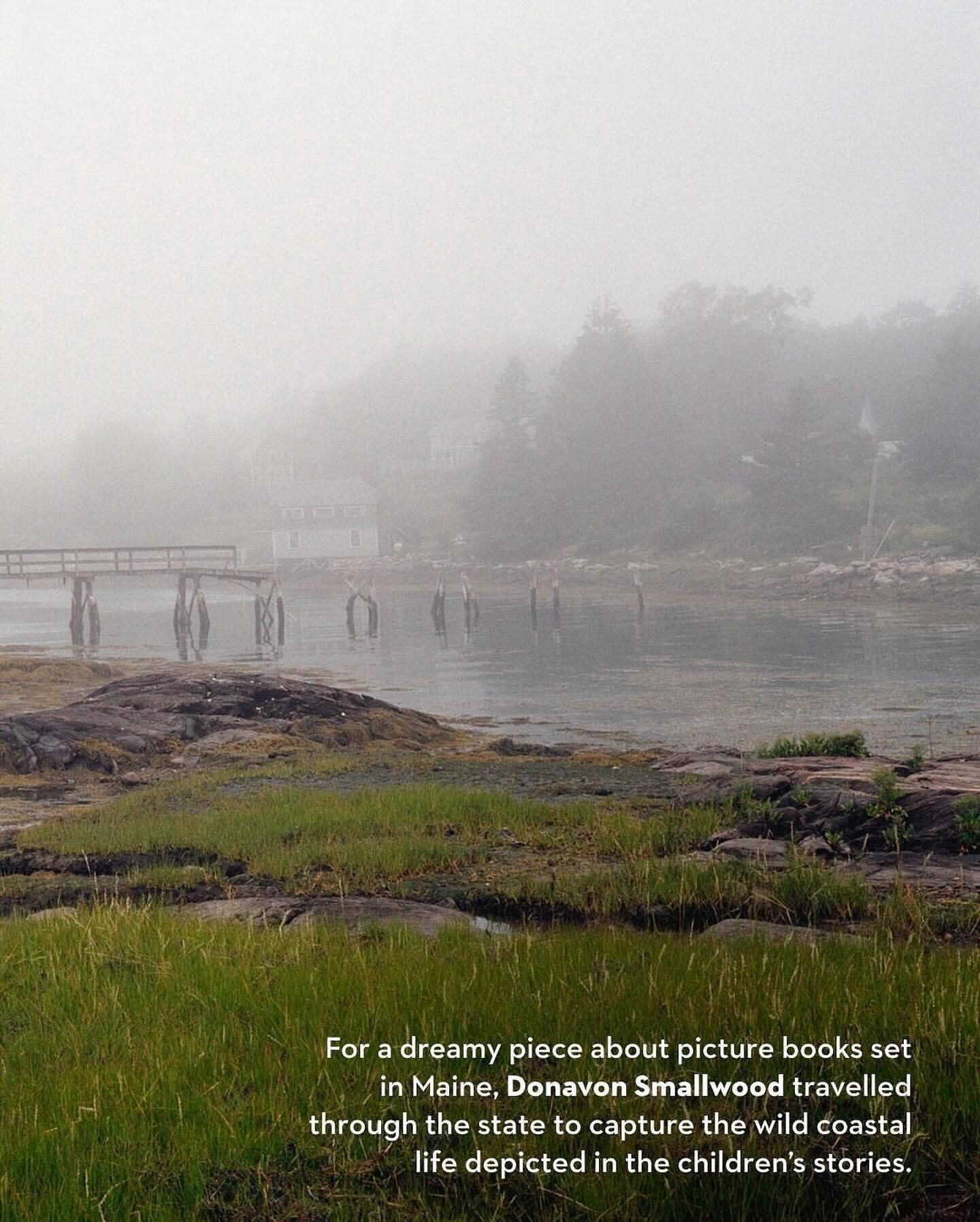 Foggy coastal landscape with a wooden pier, rocks, and green grass under an overcast sky, evoking a tranquil and serene atmosphere.