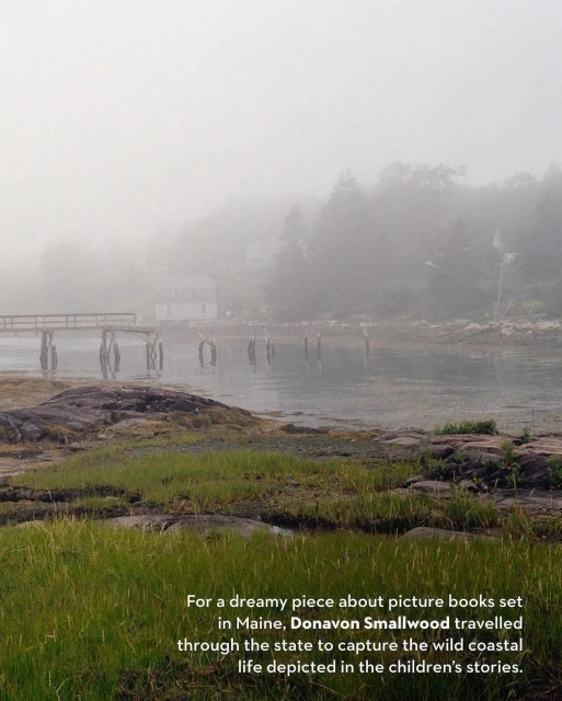 Foggy coastal landscape with a wooden pier, rocks, and green grass under an overcast sky, evoking a tranquil and serene atmosphere.