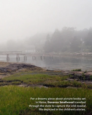 Foggy coastal landscape with a wooden pier, rocks, and green grass under an overcast sky, evoking a tranquil and serene atmosphere.