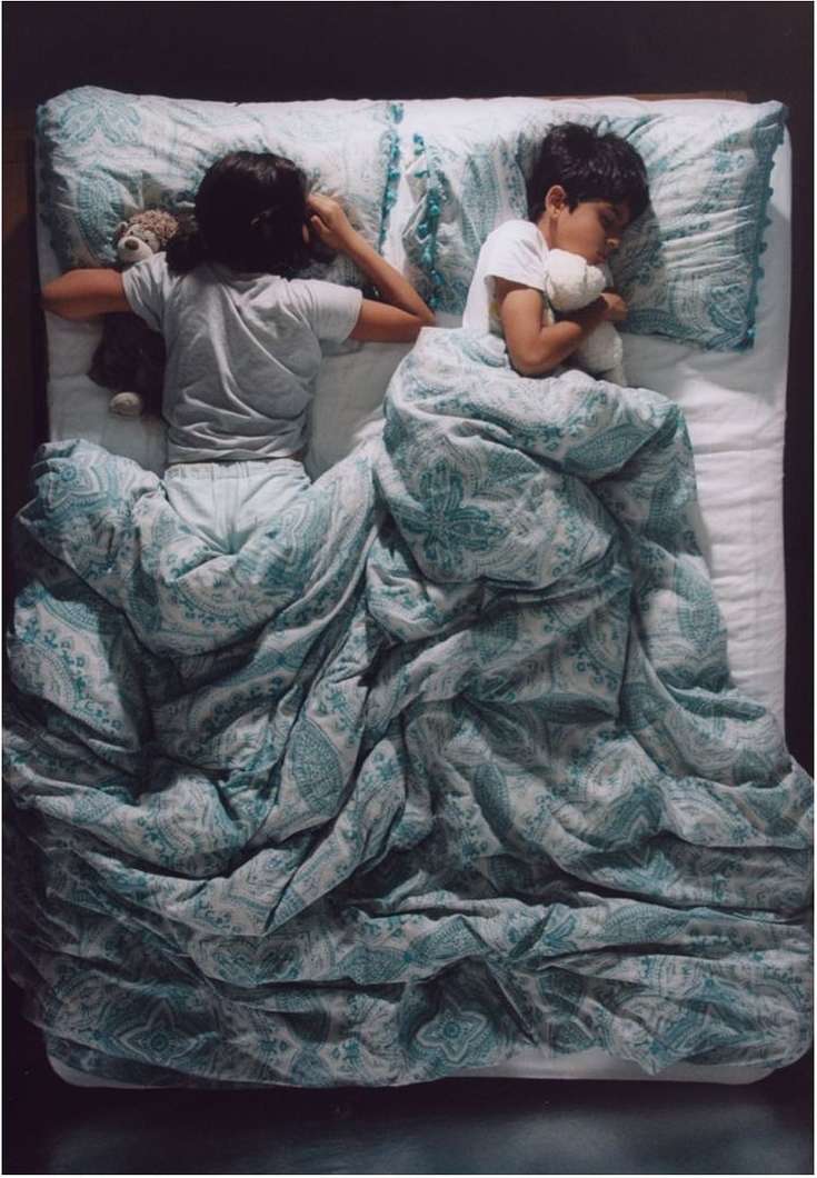Overhead shot of two sleeping children sharing a bed with patterned bedding and holding teddy bears, creating a heartwarming scene.