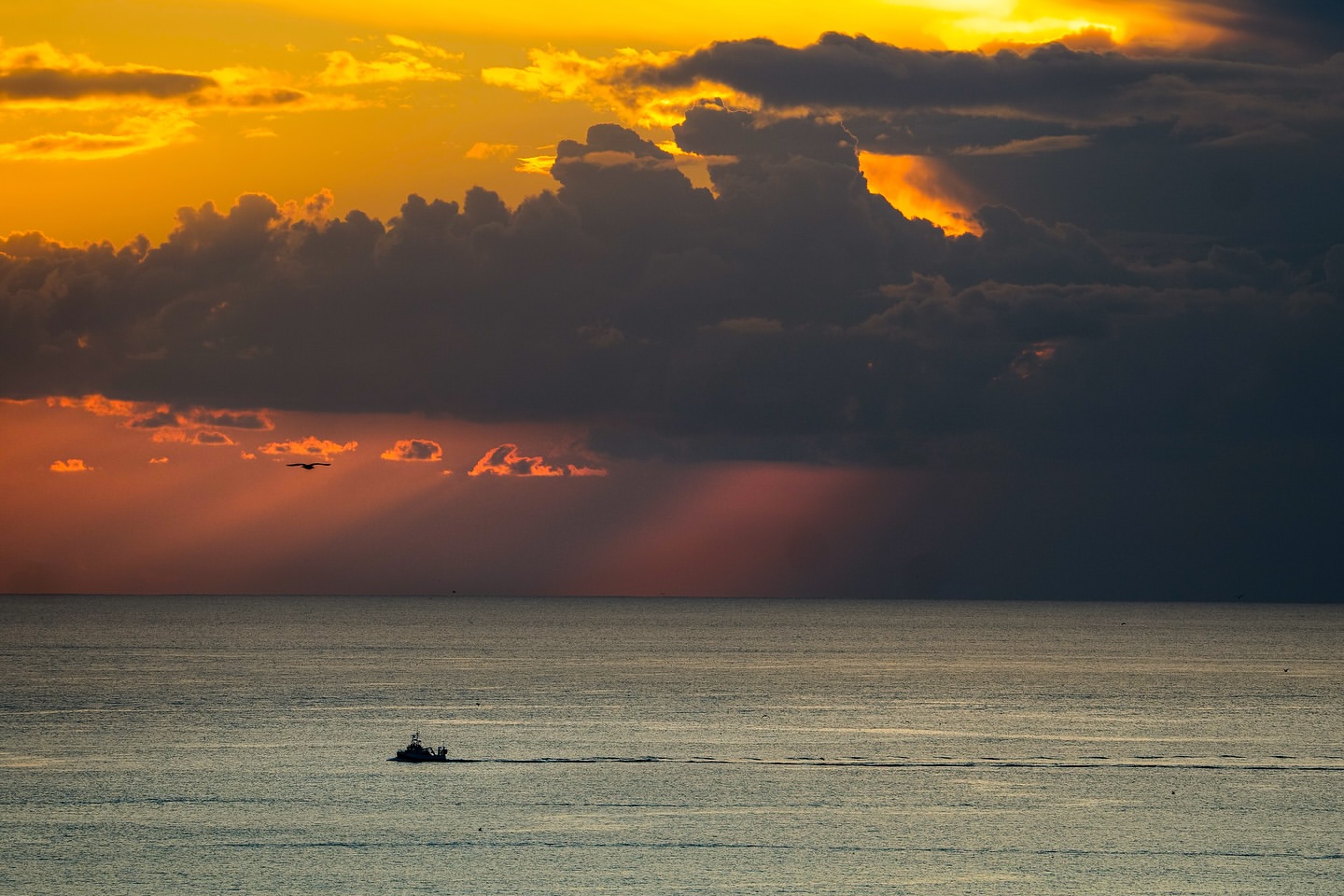Scenic ocean view featuring a boat, bird, and dramatic sky at sunset. Golden hour lighting illuminates the water and cloud formations.
