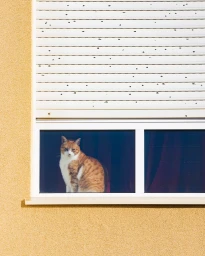 A ginger and white cat sitting on a windowsill behind a window with closed white shutters and a yellow textured exterior wall.
