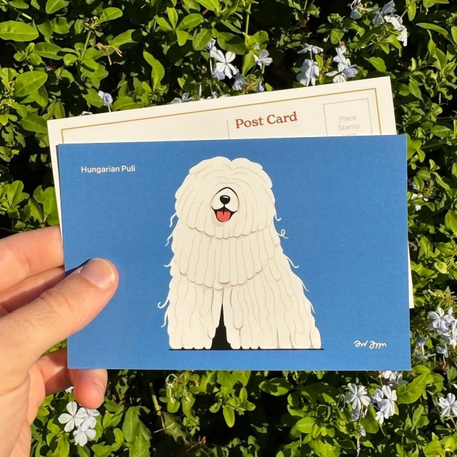 Illustration of a white Hungarian Puli dog on a blue postcard, held by a hand in front of a green leafy background with small flowers.