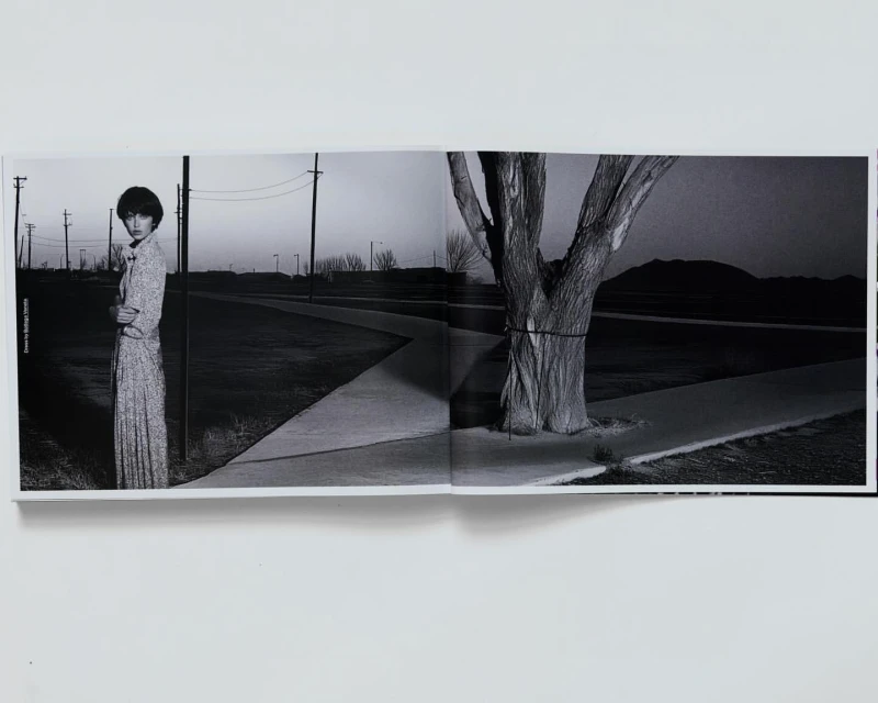 Black-and-white image of a vintage fashion editorial with a woman in a dress standing in a rural outdoor environment.