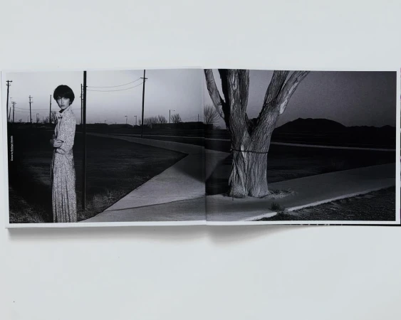 Black-and-white image of a vintage fashion editorial with a woman in a dress standing in a rural outdoor environment.