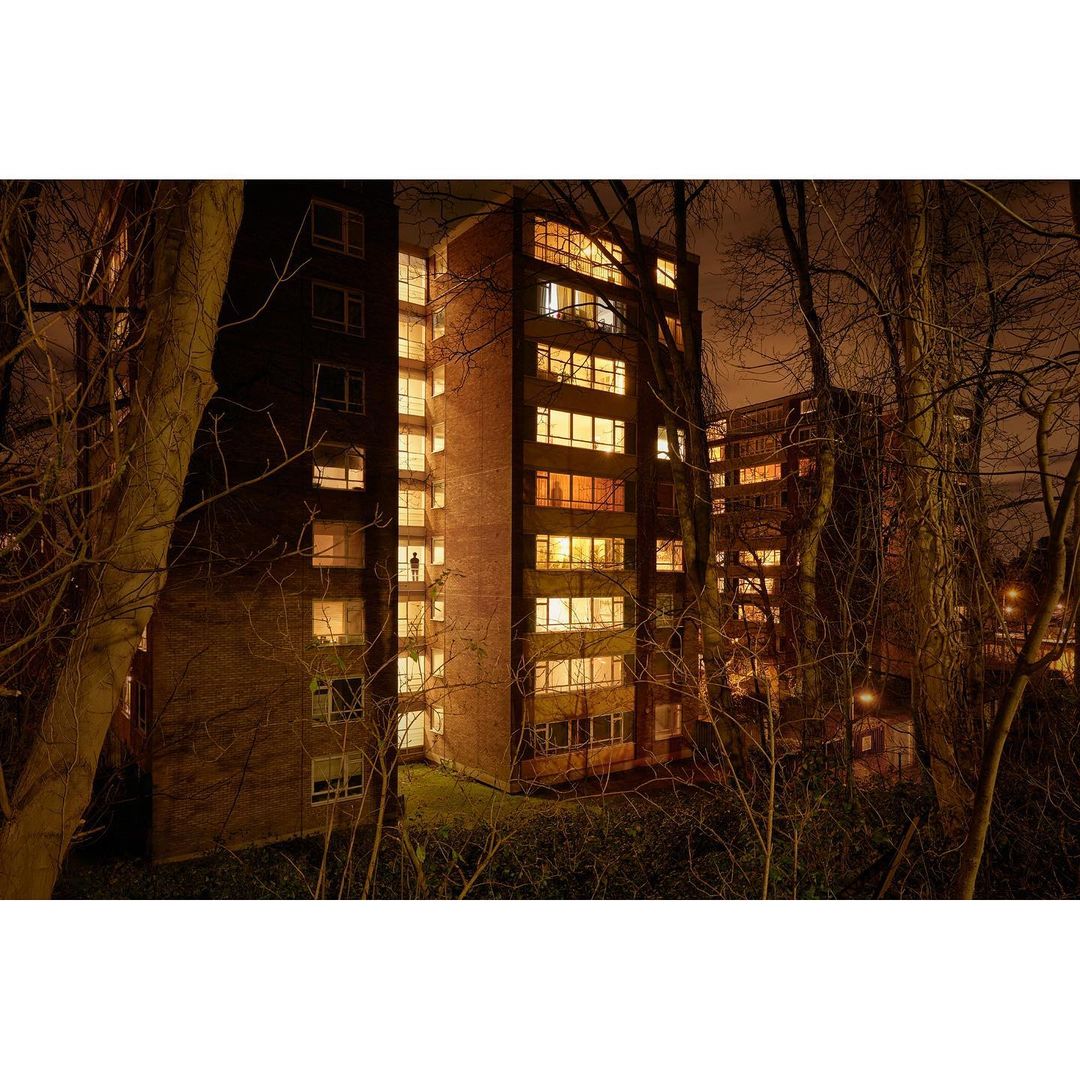 Illuminated apartment buildings stand tall at night, framed by trees in a dark, residential urban environment.