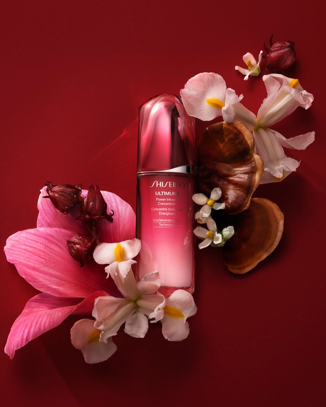 Shiseido Ultimune serum bottle surrounded by white and pink flowers and dried hibiscus on a deep red background in a beauty product shot.