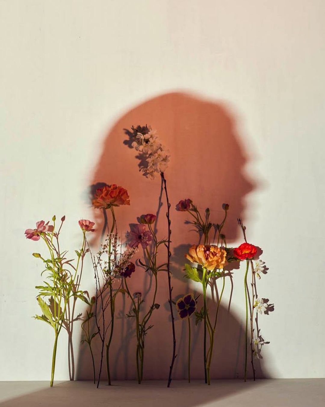 Artistic composition of colorful flowers against a wall with a blurred human silhouette. Warm tones, creative lighting, nature theme.