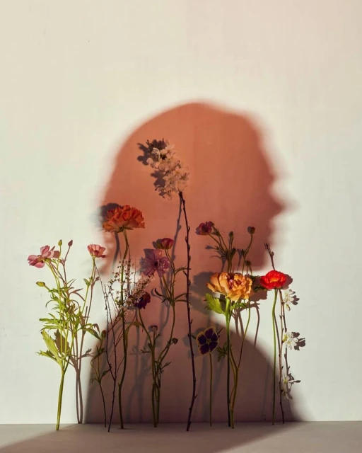 Artistic composition of colorful flowers against a wall with a blurred human silhouette. Warm tones, creative lighting, nature theme.