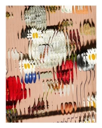 Close-up abstract photograph of flowers and organic fragments distorted through vertical corrugated glass by Dylan Griffin