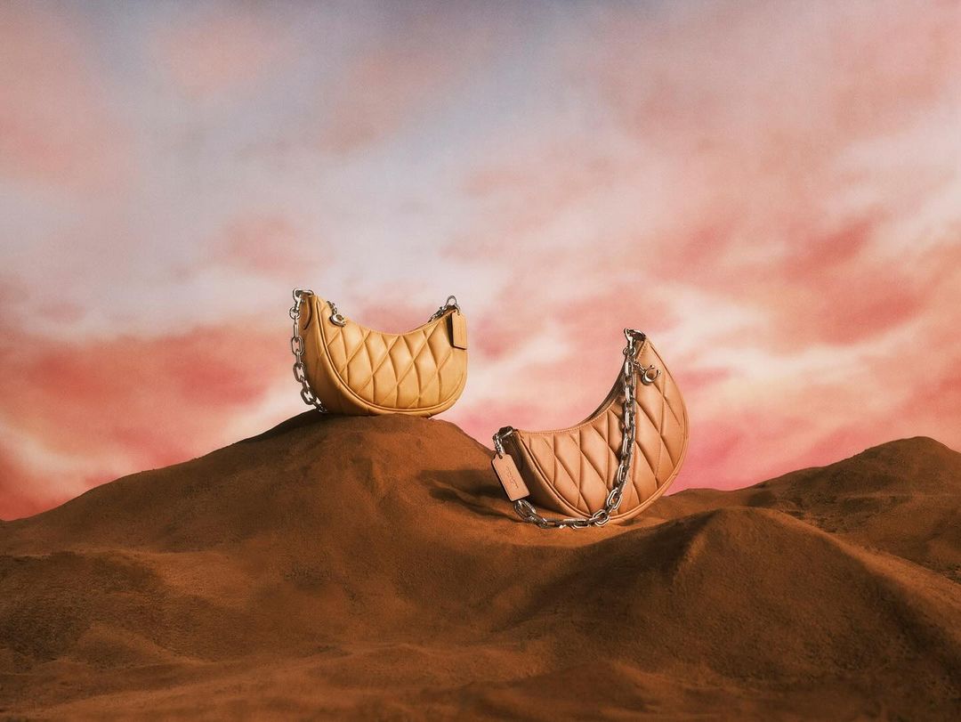 Two tan quilted leather handbags with silver chain straps sit atop brown textured hills against a pink and blue cloudy sky background.