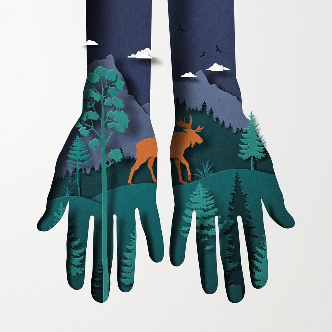 Paper art featuring two hands holding a forest landscape with trees, mountains, clouds, birds, and a moose against a white backdrop.