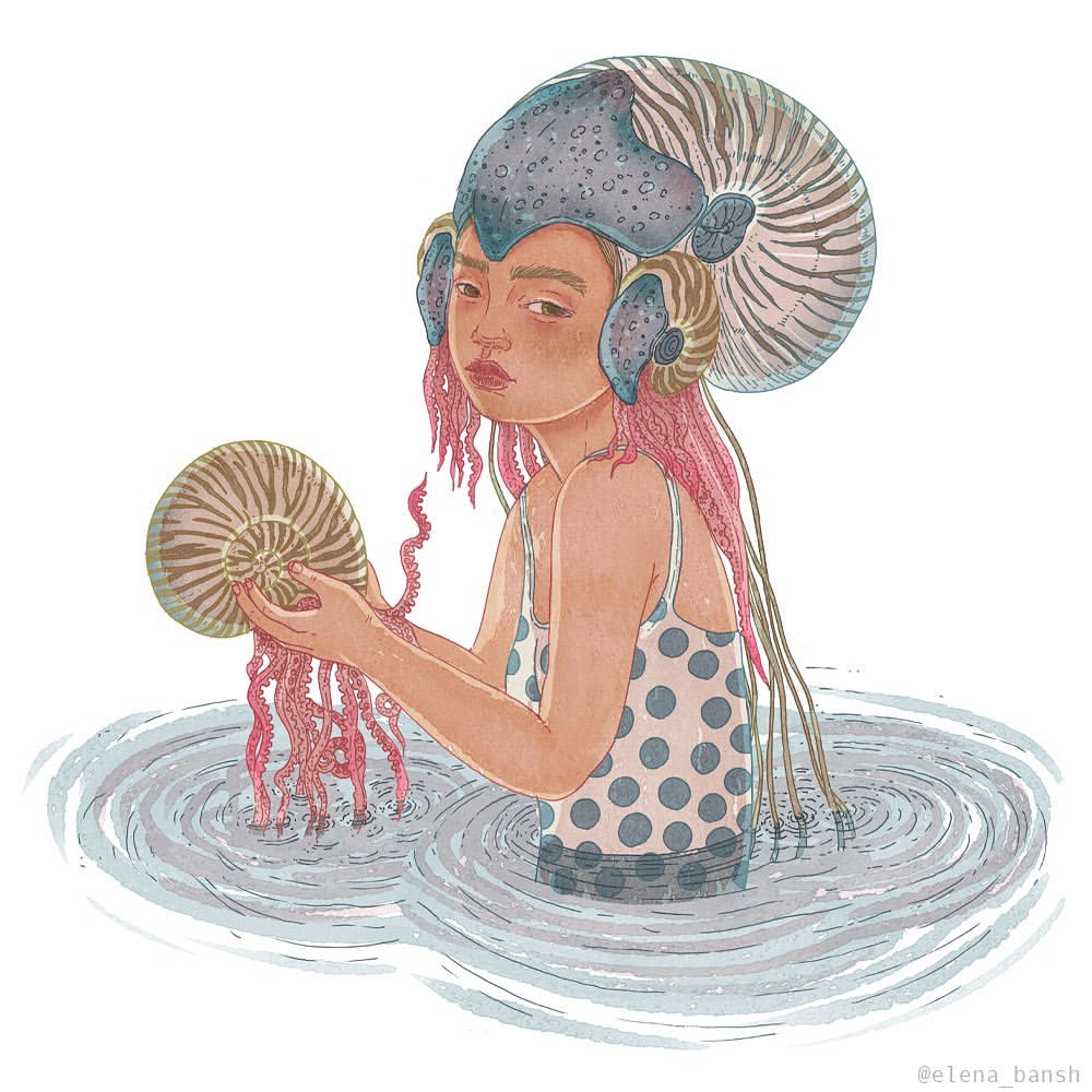 Illustration of a person in water wearing a nautilus shell hat and holding a nautilus shell in their hands with pink seaweed.