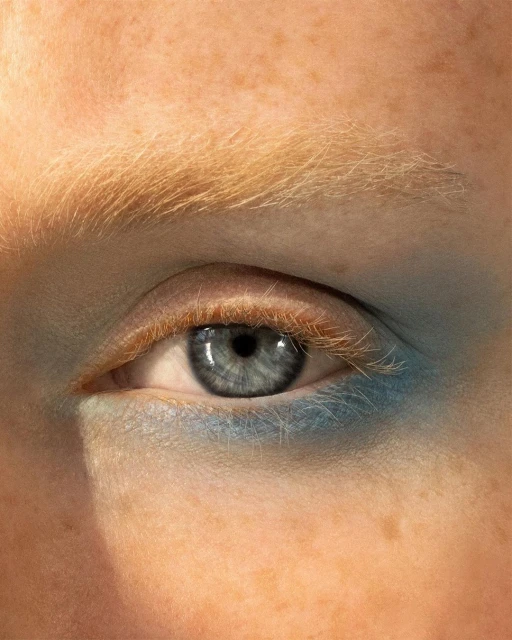 Close-up shot of a human eye with blue eyeshadow, light skin, and ginger eyebrows.