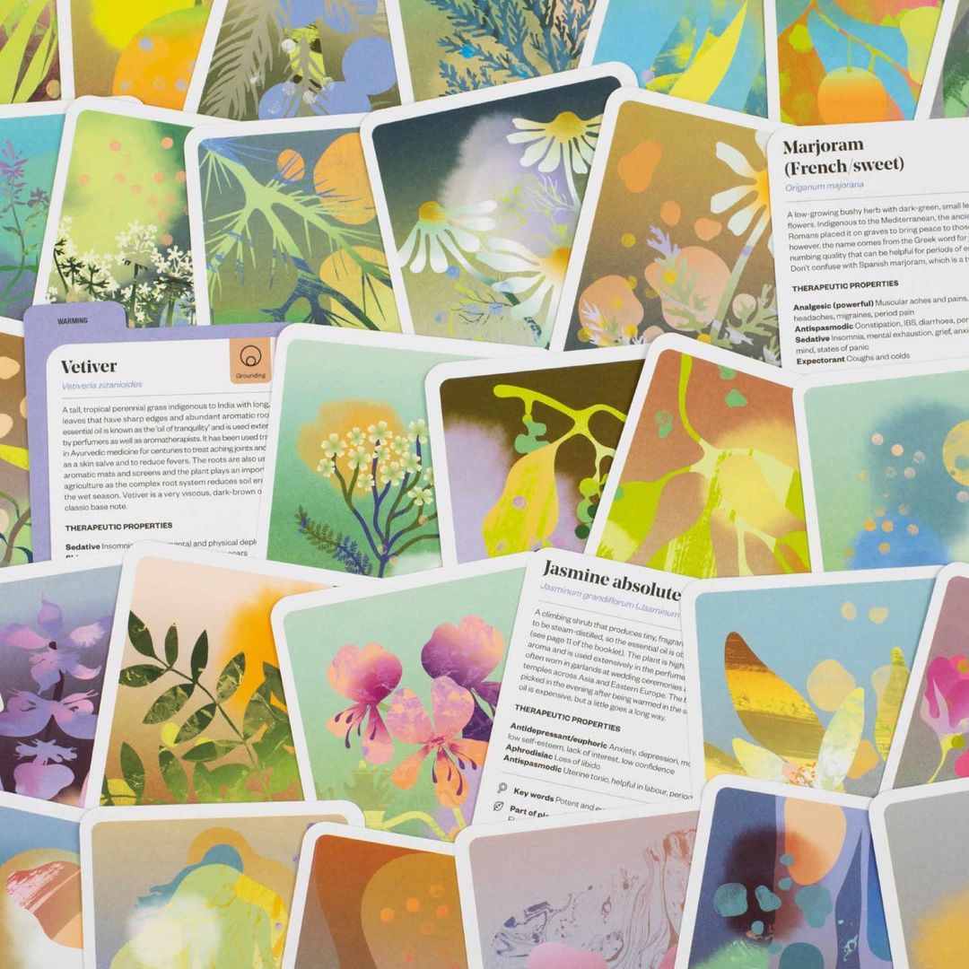 Botanical flashcards showcasing assorted herbs, including vetiver, jasmine, and marjoram, featuring written descriptions and painted illustrations.