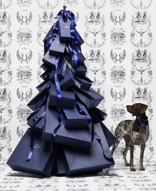 Navy blue shopping bags stacked in a Christmas tree shape next to a pointer dog in a photo studio with a patterned backdrop.