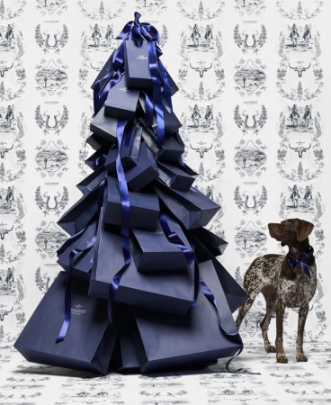 Navy blue shopping bags stacked in a Christmas tree shape next to a pointer dog in a photo studio with a patterned backdrop.