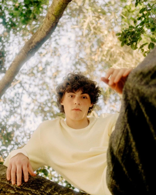 Young adult male with curly hair in cream sweater sitting in a tree, low angle shot with dappled light and green leaves in background.