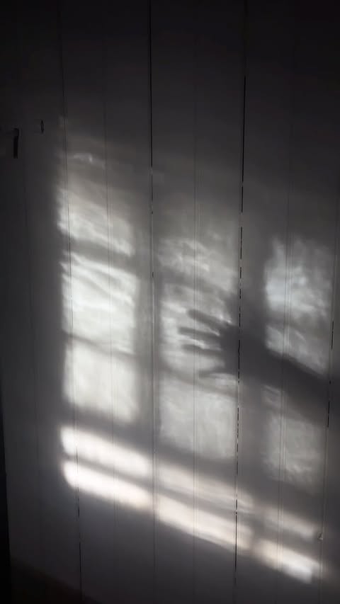 Light and shadows cast a human hand and window frame on a white wooden wall indoors, creating an abstract and artistic effect.
