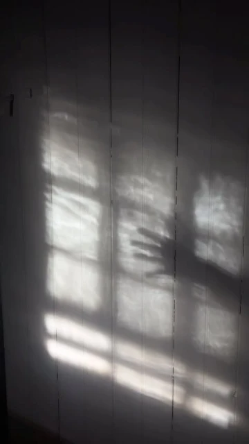 Light and shadows cast a human hand and window frame on a white wooden wall indoors, creating an abstract and artistic effect.
