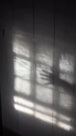 Light and shadows cast a human hand and window frame on a white wooden wall indoors, creating an abstract and artistic effect.