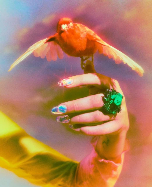 Hand holds an orange bird with wings spread, adorned with a green ring, set against a vibrant sky. Fantasy photography.