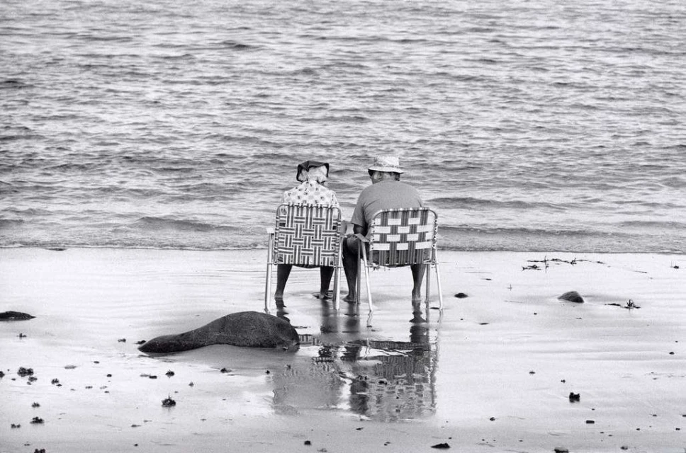 Elliott Erwitt
