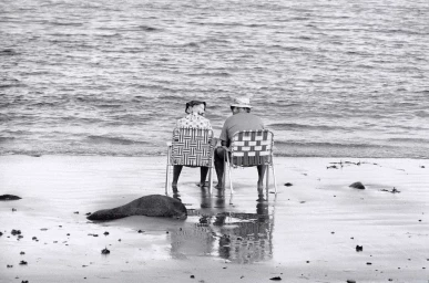 Two elderly people seated in folding beach chairs looking out at the ocean on a sandy beach.