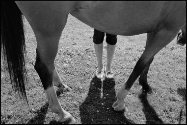 Black and white photograph by Elliott Erwitt showing a person standing between the legs of a horse in a grassy field.