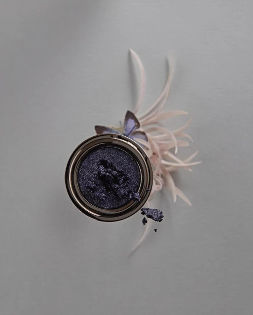 Overhead studio shot of purple eye shadow in silver container with decorative feathers on grey background for beauty advertisement.