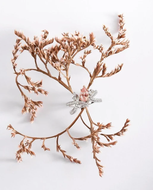 Elegant diamond ring with a pink gemstone is displayed on dried floral branches against a clean white backdrop, jewelry still life.