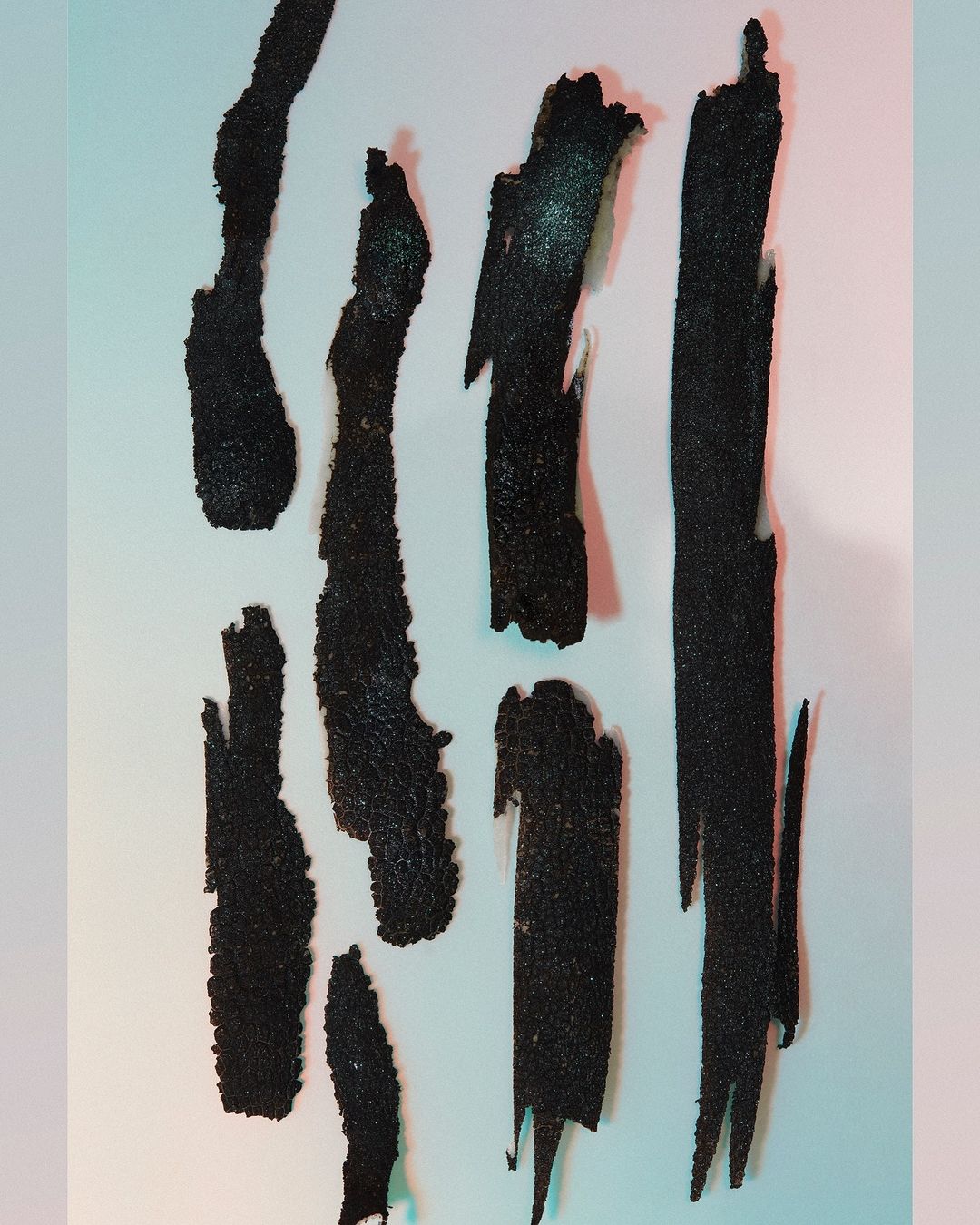 Abstract photograph of irregular black shapes on a light-colored background, resembling brush strokes or organic forms.