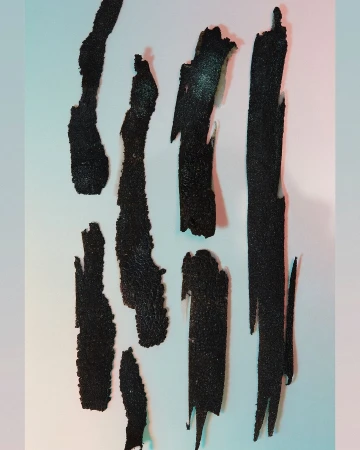 Abstract photograph of irregular black shapes on a light-colored background, resembling brush strokes or organic forms.