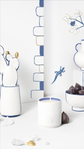 Still life featuring a white candle, figs, a white vase, and a white vase holding a cactus against a decorative white background.
