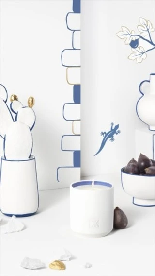 Still life featuring a white candle, figs, a white vase, and a white vase holding a cactus against a decorative white background.