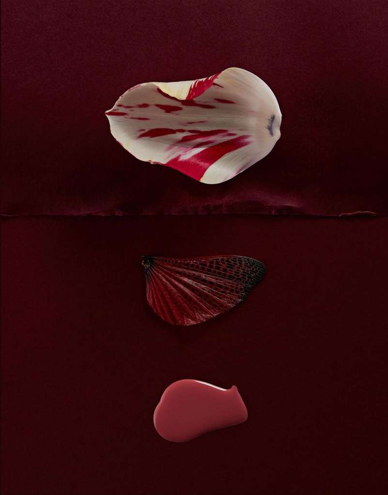 Still life featuring three flower petals in white, red, and dark red arranged vertically on a red surface in a studio setting.