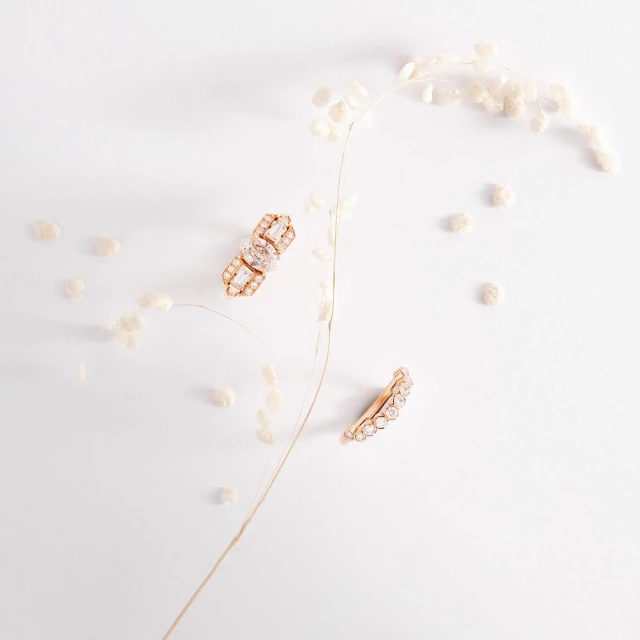 Elegant gold earrings sparkle against a pristine white backdrop. Dried floral elements add a natural, minimalist touch to the jewellery presentation.