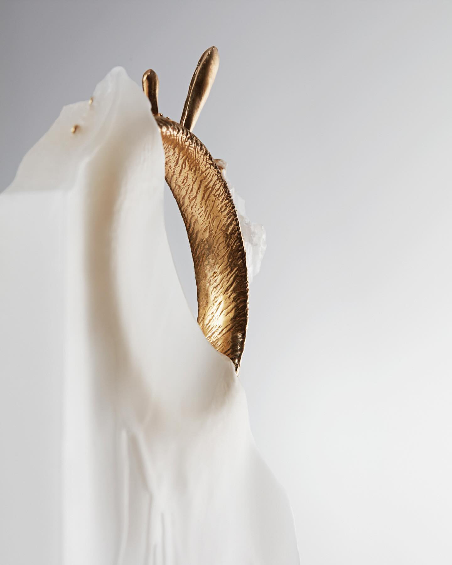 Abstract still life features a gold metal bangle bracelet draped over a white cloth, capturing a play of texture and form in soft light.